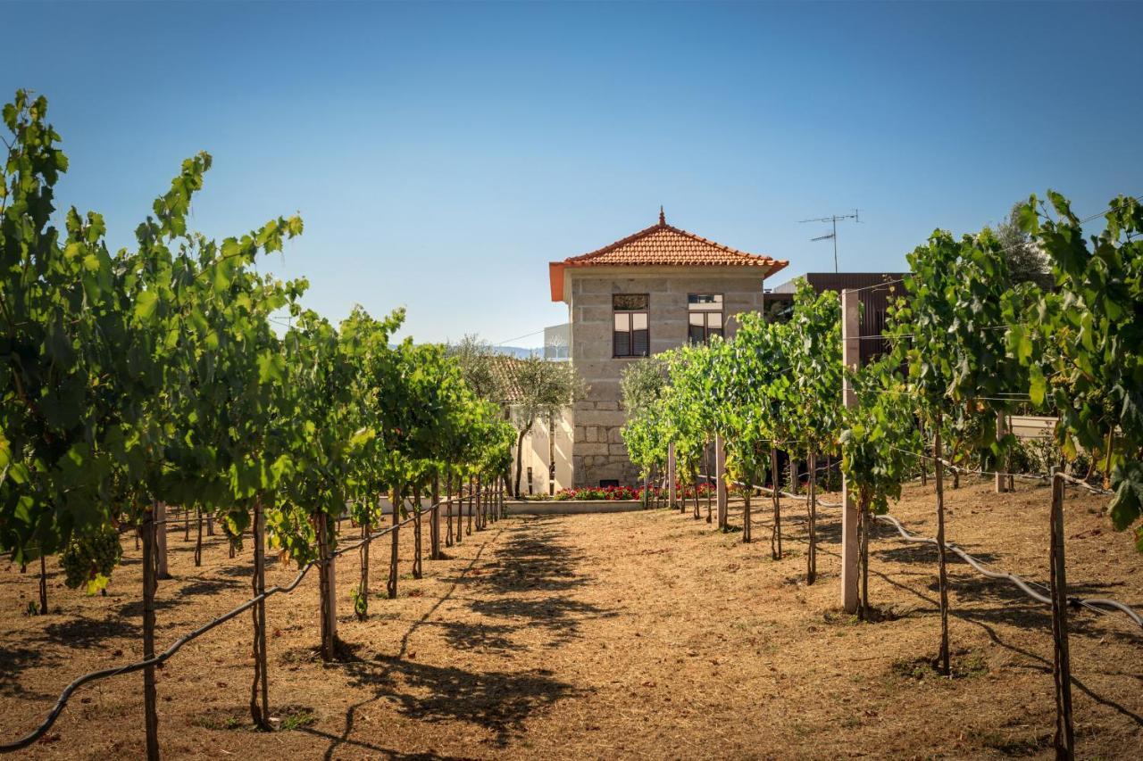 Quinta Do Aido - Winetourism Villa Cinfaes Ngoại thất bức ảnh